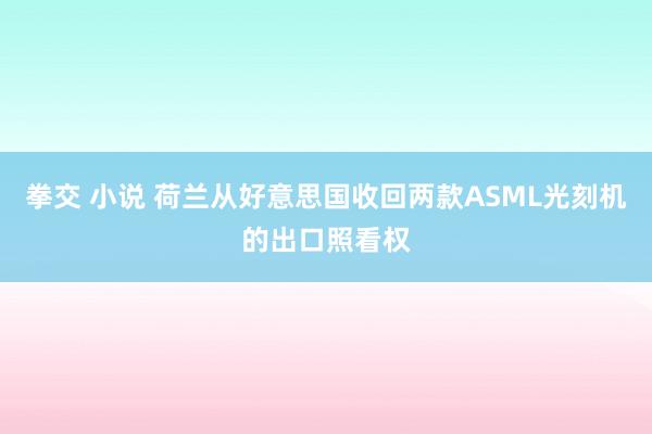 拳交 小说 荷兰从好意思国收回两款ASML光刻机的出口照看权