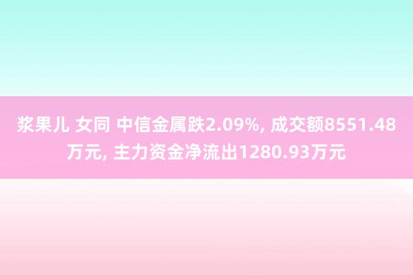 浆果儿 女同 中信金属跌2.09%， 成交额8551.48万元， 主力资金净流出1280.93万元