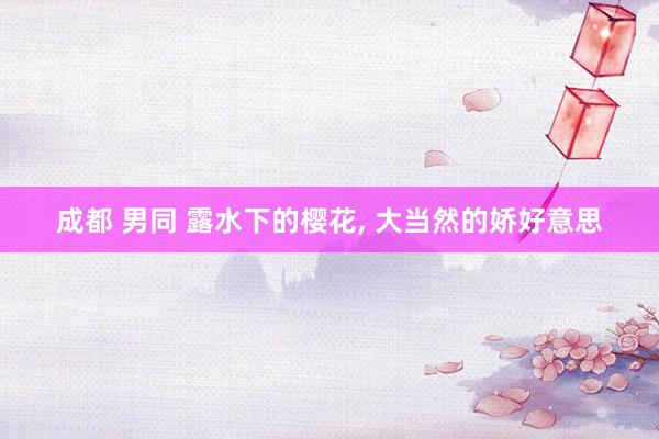 成都 男同 露水下的樱花， 大当然的娇好意思