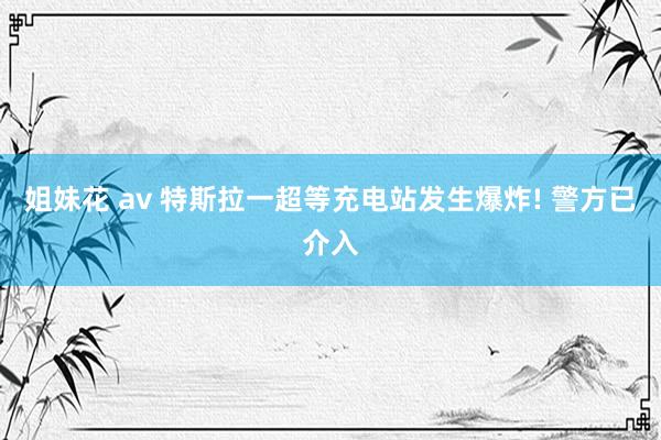 姐妹花 av 特斯拉一超等充电站发生爆炸! 警方已介入