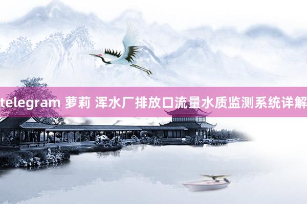 telegram 萝莉 浑水厂排放口流量水质监测系统详解